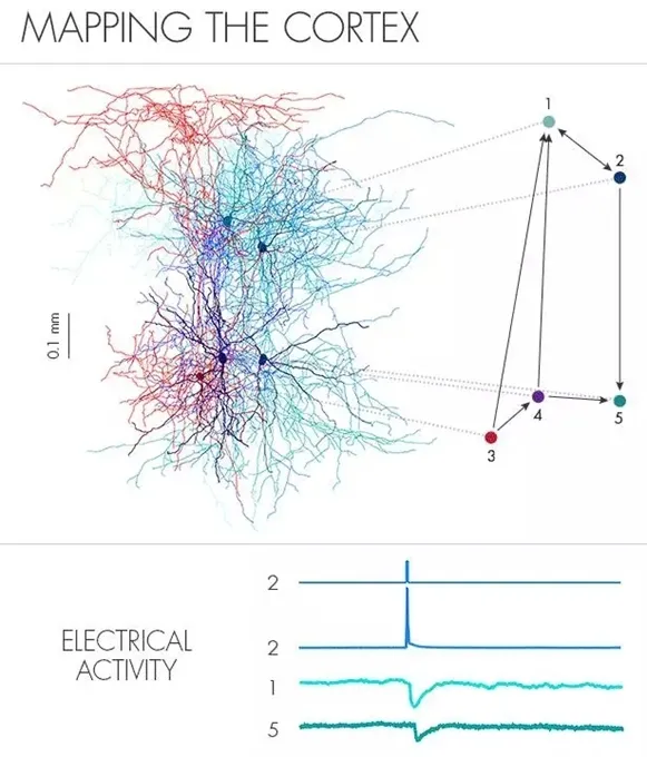 重磅 | 揭秘IARPA项目：解码大脑算法或将彻底改变机器学习2
