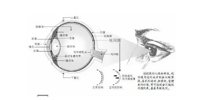 《碟中谍5》背后的生物识别技术大比拼4