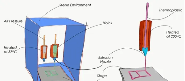 3D生物打印药物，给人类带去了更可靠、更有效的药物治疗方式