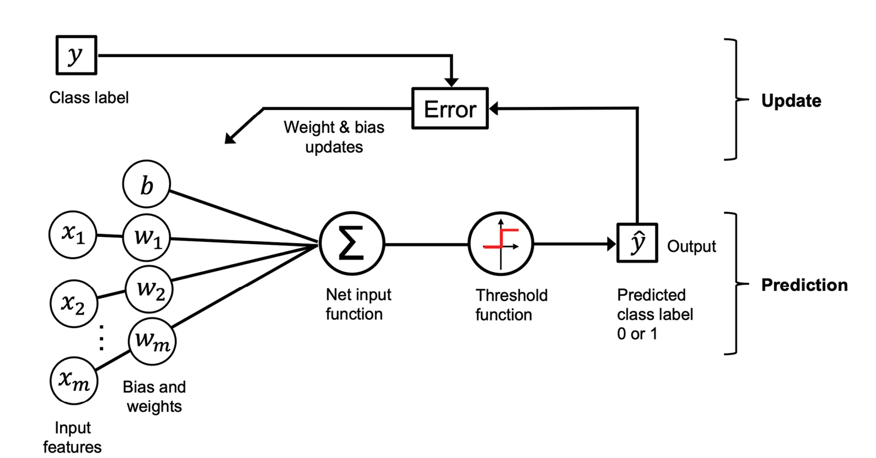 图2.4：模型的权重和偏置会根据错误函数进行更新