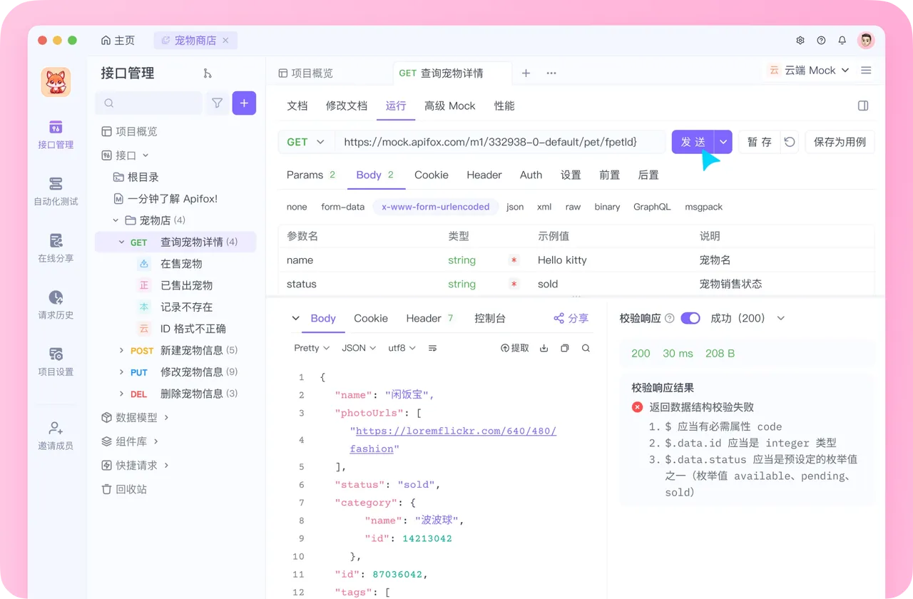 Apifox 界面展示