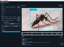 基于YOLOv8的蚊蝇位置智能检测识别项目｜完整源码数据集+PyQt5界面+完整训练流程+开箱即用！