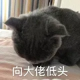 Sentinel为什么这么强，我忍不住扒了扒背后的实现原理