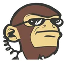 securitymonkeyHead