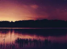 Centos7 环境使用 Docker 安装 Mysql 服务详解