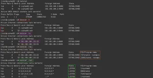 入职必会-开发环境搭建40-Linux常用操作-Linux进程管理