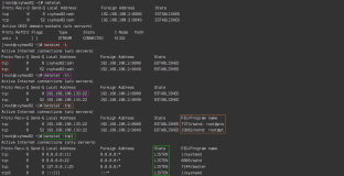 入职必会-开发环境搭建40-Linux常用操作-Linux进程管理