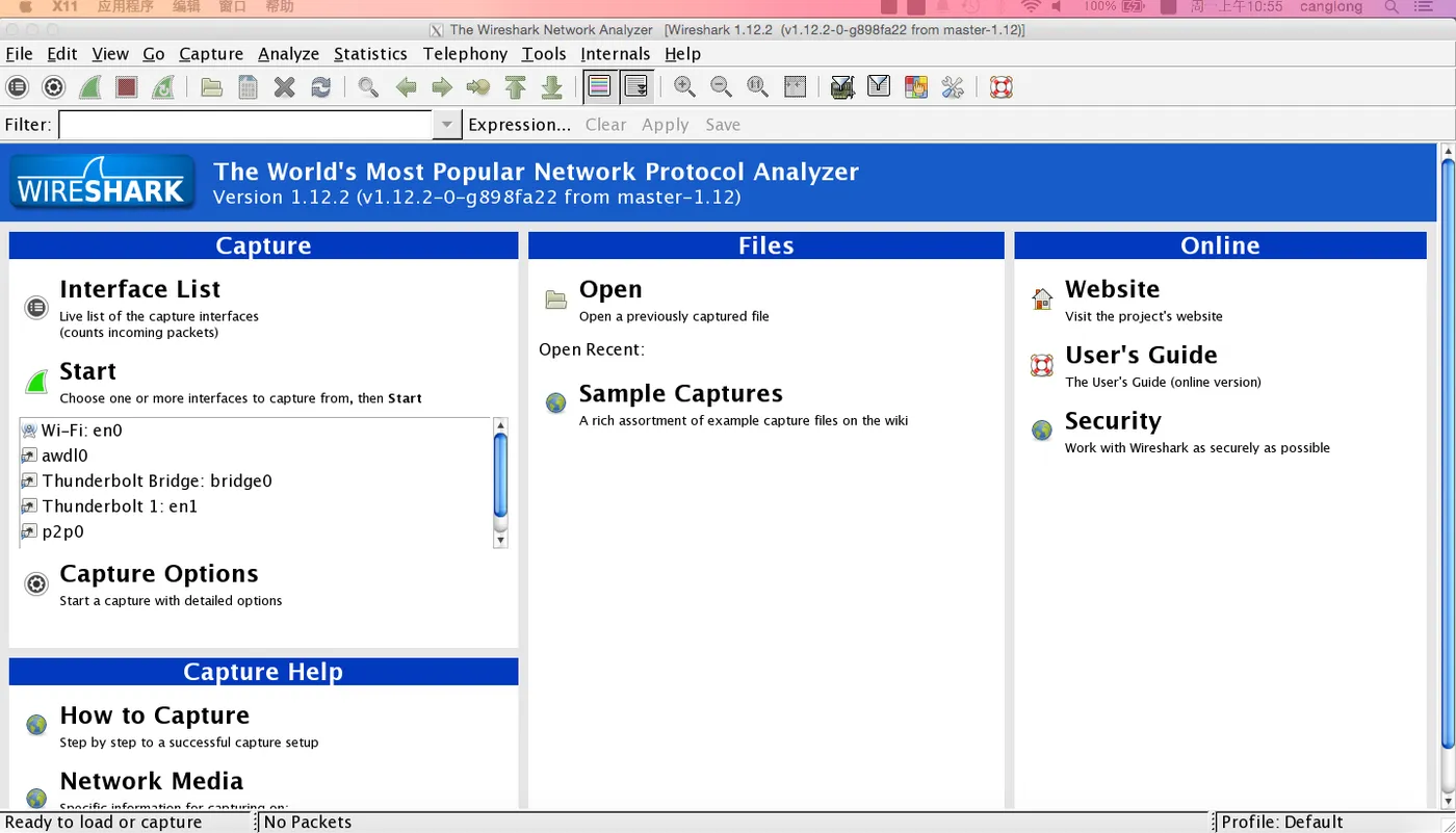 wireshark_face_1