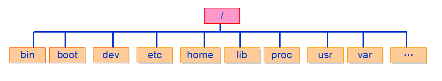 Linux的目录结构
