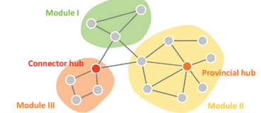 【博士每天一篇文献-模型】A mechanistic model of connector hubs, modularity and cognition