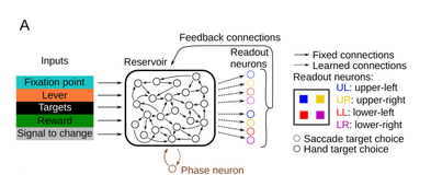 【博士每天一篇文献-实验】Reservoir Computing Properties of Neural Dynamics in Prefrontal Cortex