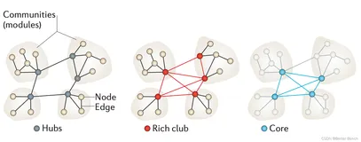 【类脑智能】类脑智能研究中的专业术语