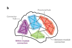 【博士每天一篇文献-综述】Modular Brain Networks