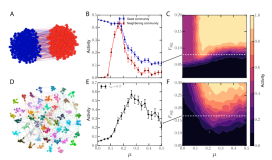 【博士每天一篇论文-算法】Optimal modularity and memory capacity of neural reservoirs