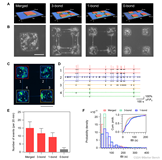 【博士每天一篇文献-实验】Impact of modular organization on dynamical richness_in cortical networks