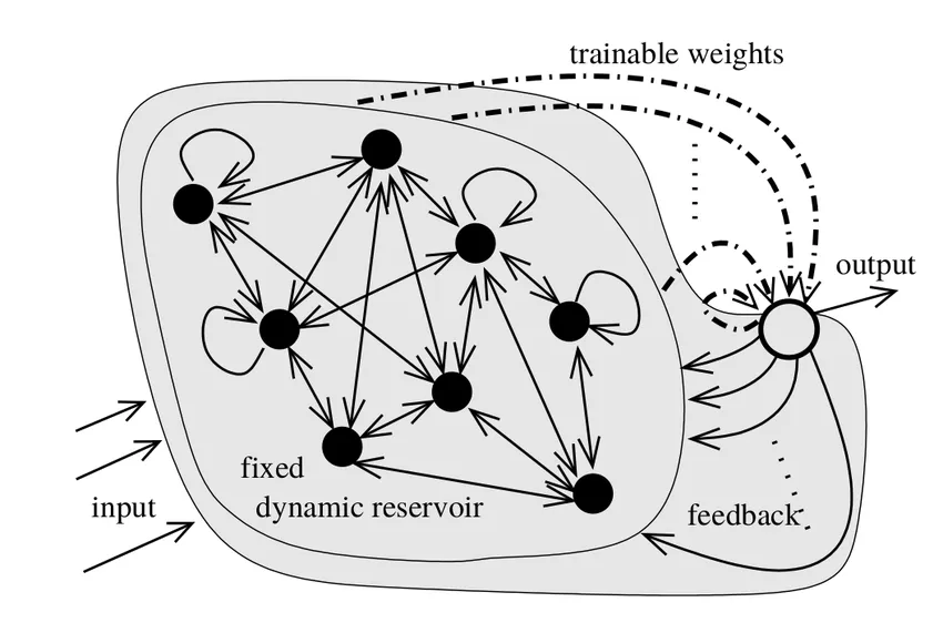 Schematic-of-a-system-implementing-BPDC-rule.jpg