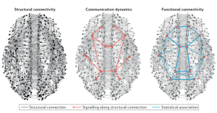 【博士每天一篇文献-综述】Communication dynamics in complex brain networks