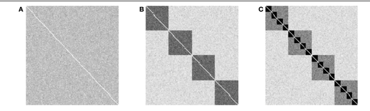 【博士每天一篇文论文-算法】A small-world topology enhances the echo state property and signal propagationlun