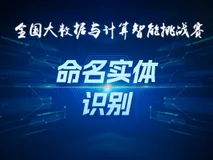 全国大数据与计算智能挑战赛：面向低资源的命名实体识别基线方案，排名13/64