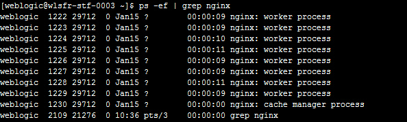 菜鸟学Linux命令:ps命令 进程查看