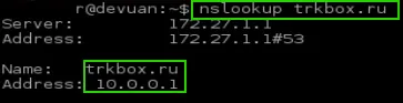 Watch DNS Lookup