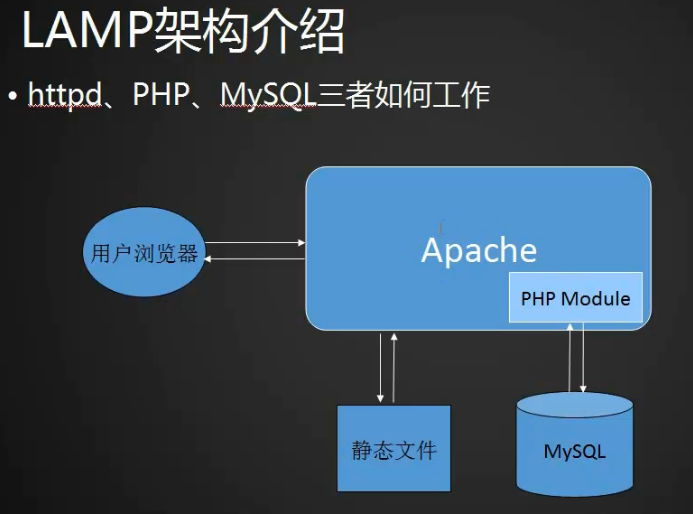11.1 LAMP架构介绍；MySQL安装（上中下）