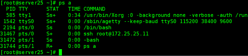 第七单元进程相关命令及优先级的处理
