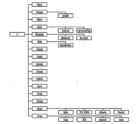 linux学习笔记-目录初识