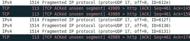 fragmented_ip_protocol2