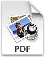 PDF icon