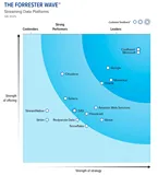 Forrester发布流式数据平台报告：Flink 创始团队跻身领导者行列，实时AI能力获权威认可