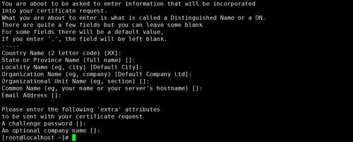Nginx 下面搭建https 网站