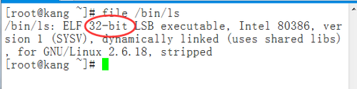 Linux file 命令详解