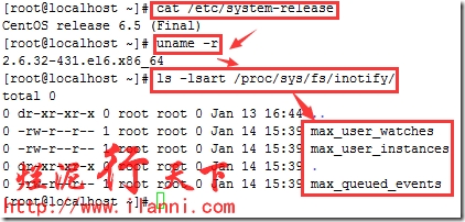 烂泥：rsync与inotify集成实现数据实时同步更新