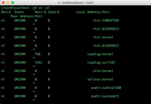 Linux使用ss命令查看socket状态