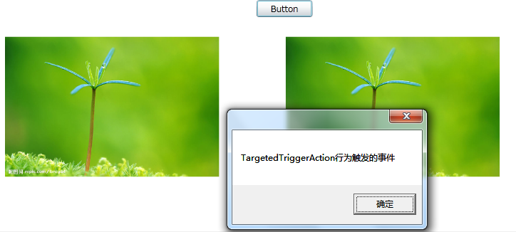 Silverlight实用窍门系列：62.Silverlight中的Action动作TargetedTriggerAction、TriggerAction