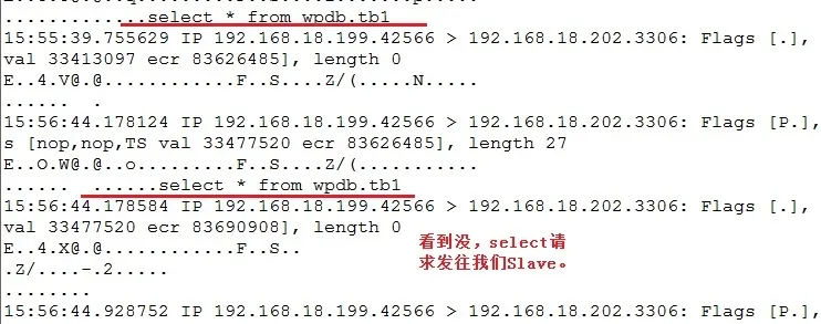 wKioL1P0YD7RpzZxAAK_IyJd_IM072.jpg