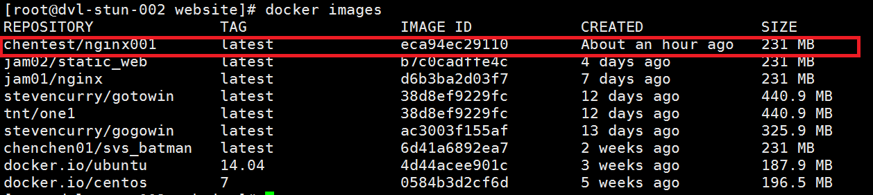 DockerFile创建一个nginx容器的全过程