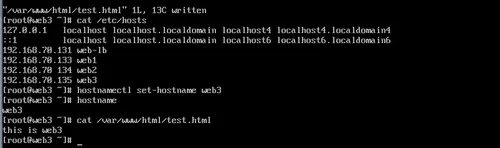 2-4修改web3的主机名及hosts文件和测试页面.png wKiom1jRGWjhwOSrAAAcutqRrn8261.png-wh_50