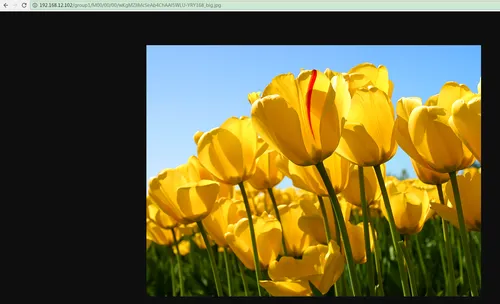 snipaste_20170623_093949.png wKiom1lMccigD26lABOOlHkYeFI824.png-wh_50