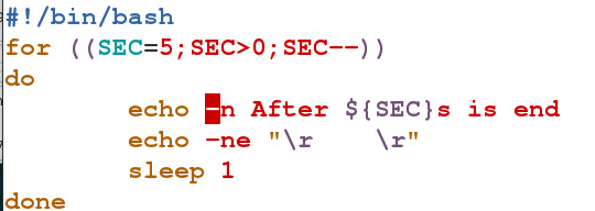 Bash scripts