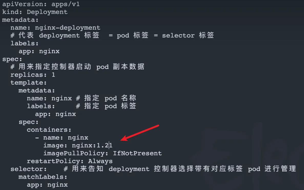 image-20251123162958794