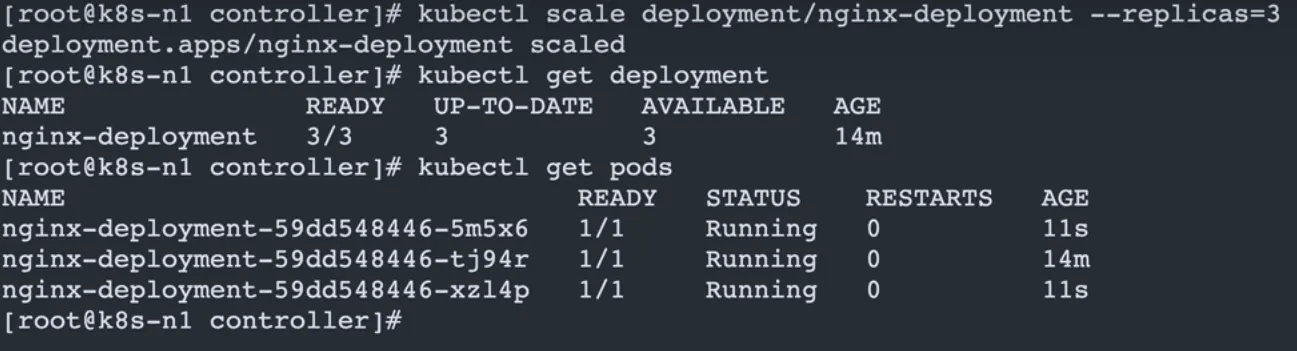 image-20251122224348926