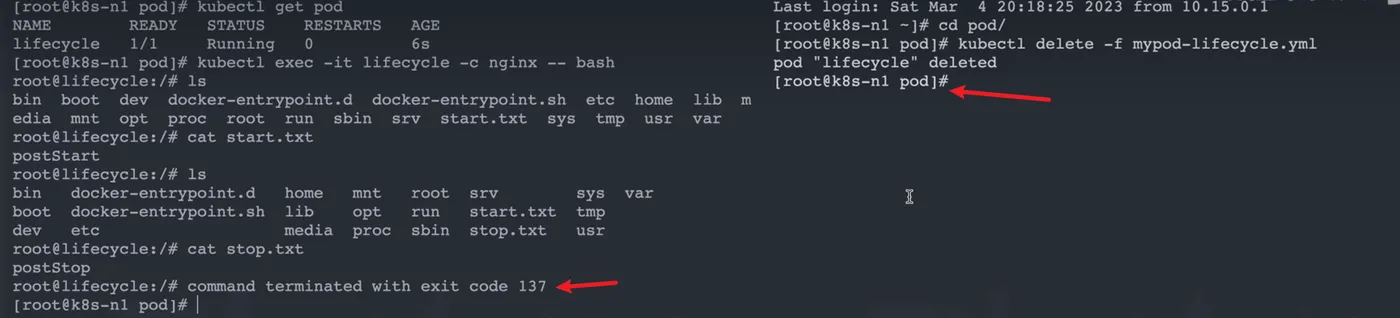 image-20251119220017813