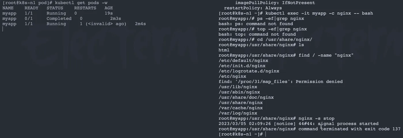 image-20251119221103403