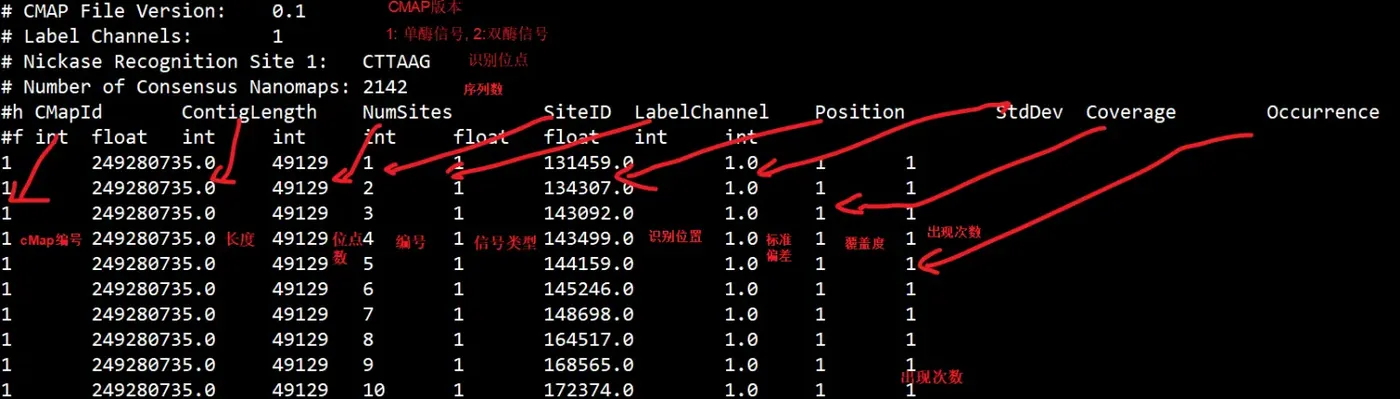 cMAP格式说明