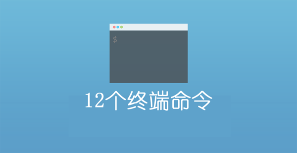 作为前端Web开发者，这12条基本命令不可不会