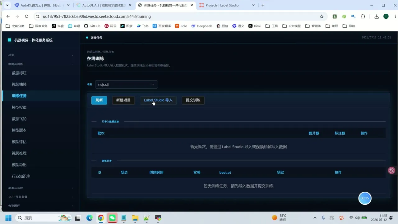 溺水检测数据集 模型训练界面