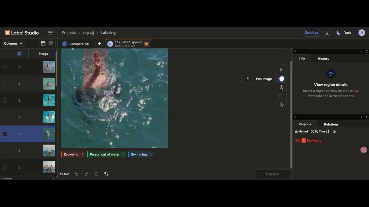 溺水检测数据集 标注界面示例