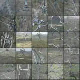 ���� YOLO11 �ĺ��ļ��������˼�⣺�����ݱ�ע������ѵ����ȫ����ʵ��